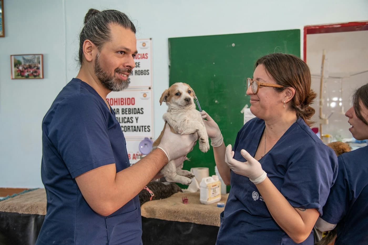 Dois veterinários sorrindo enquanto examinam um filhote de cachorro